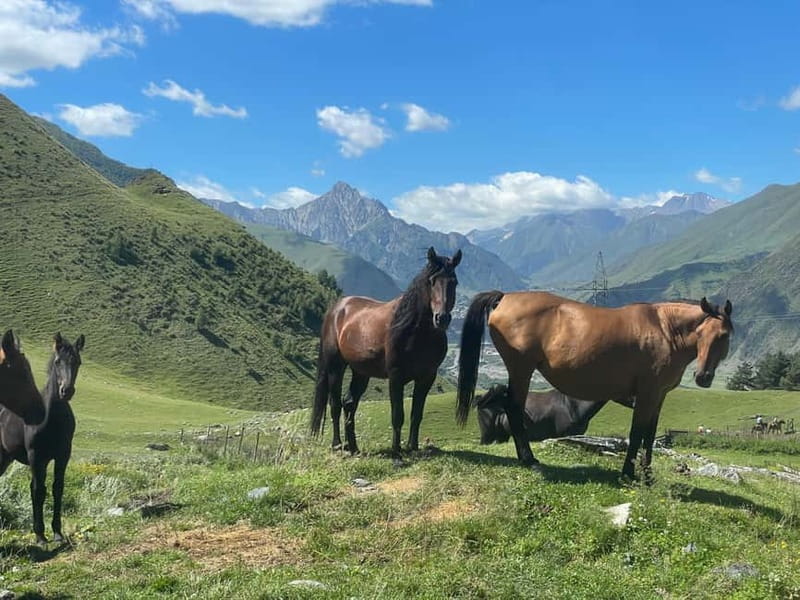 Kazbegi:Sunset Horse Riding Tour from Rooms Hotel Kazbegi - Starting in front of Rooms Hotel Kazbegi