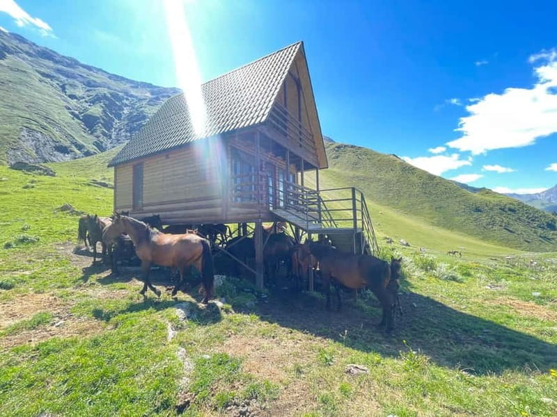 Kazbegi:Sunset Horse Riding Tour from Rooms Hotel Kazbegi - What the $39 price really covers