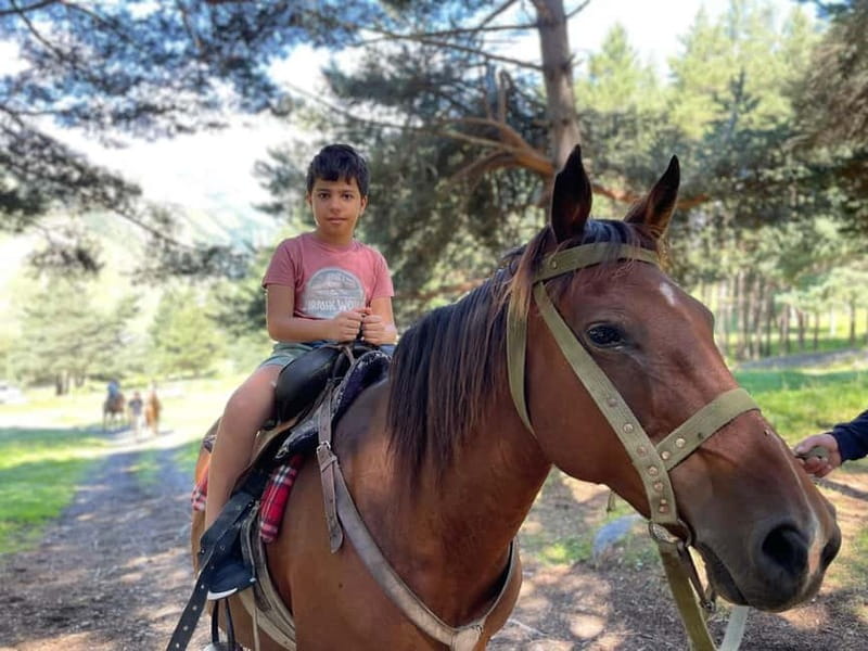 Kazbegi:Sunset Horse Riding Tour from Rooms Hotel Kazbegi - Communication, comfort, and practical limits