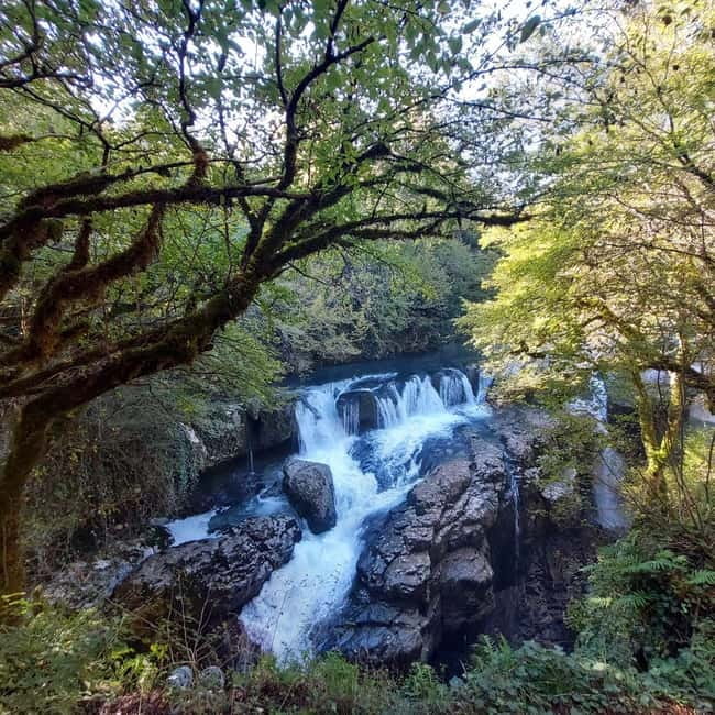 Kutaisi: Okatse-Martvili Canyons,Prometheus Cave, Waterfalls - Why this day trip works from Kutaisi