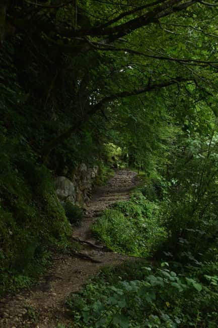 Kutaisi: Okatse-Martvili Canyons,Prometheus Cave, Waterfalls - Swimming at Ogueshi Waterfall