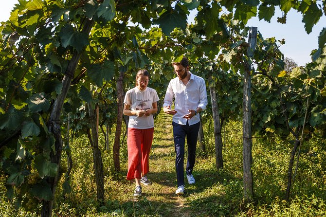 KUTAISI, WINE & DINE - Group tour from Tbilisi - Key points to know before booking