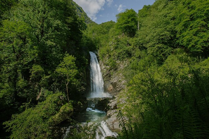 Lagodekhi - A day hiking from Tbilisi - Key things to know before you book
