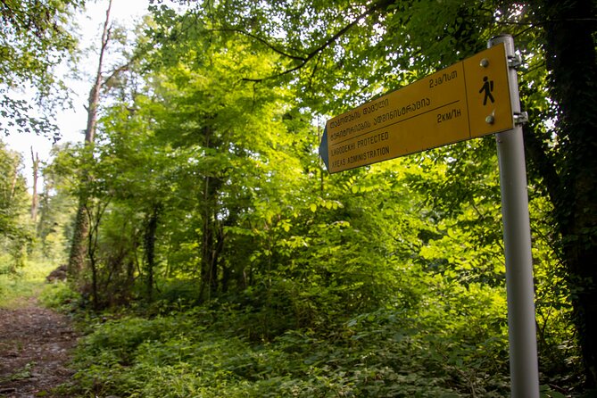 Lagodekhi - A day hiking from Tbilisi - Starting at the Gurgeniani Visitor Center