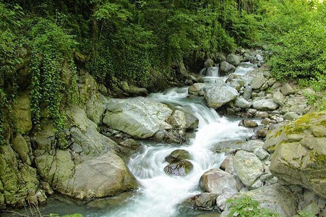 Lagodekhi - A day hiking from Tbilisi - What the private guide adds to the day