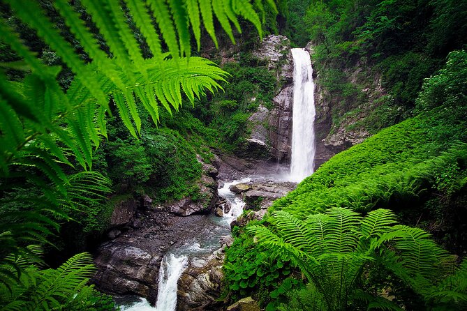 Lagodekhi - A day hiking from Tbilisi - Practical preparation for the 8:00 a.m. start