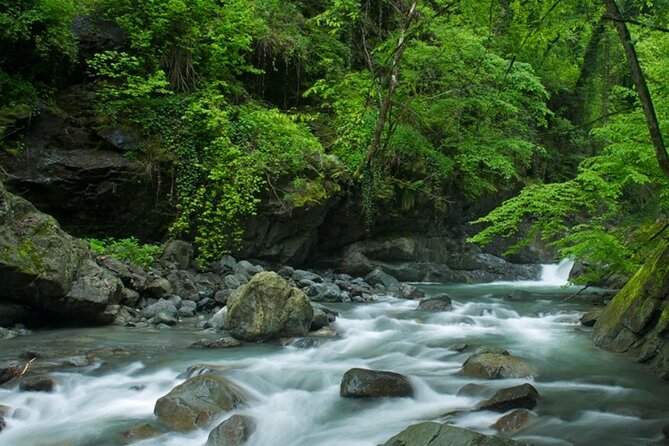 Lagodekhi - A day hiking from Tbilisi - Following the Ninoskhevi River for 4 kilometers