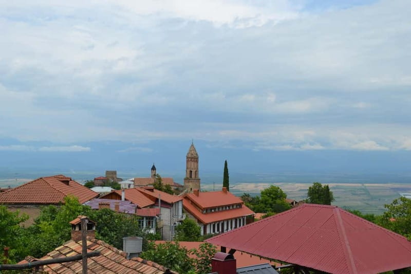 Land of the Sun Full Day Wine and Grapes Tour in Kakheti - The final wine tasting and the extra cost of lunch