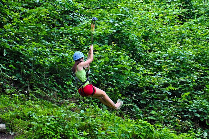 Mtirala National Park Tour - Why Mtirala makes a good escape from Batumi
