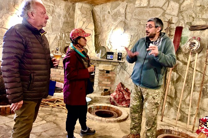 Natural Wine Tour to Kartli region, lunch & wine tasting at Andro Barnovi - Key points about this Kartli wine day