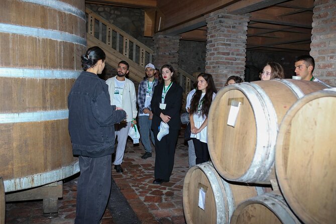 One Day Kakheti Tour with Wine Tasting and Free Churchkhela - Telavi: the longest stop and the heart of wine country