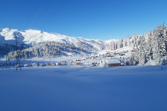 One day to snow from Kutaisi - Five hours in Bakhmaro’s spruce and fir forests