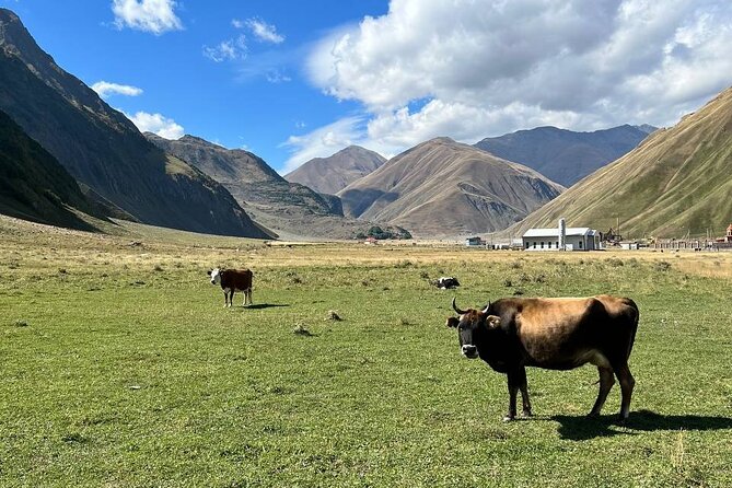 One-day tour to the Magnificent Kazbegi - What the timing really means