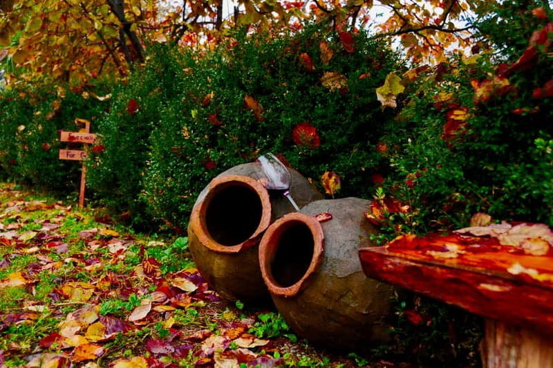 Organic Wine Full Day Private Tour With Tastings and Lunch - Leaving Tbilisi at 9:30 AM for Kakheti