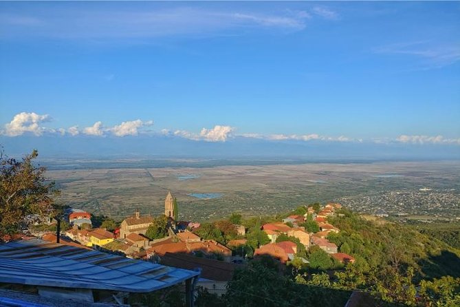 Premium & Organic Wine Tour in Kakheti - What the $210.85 price really covers