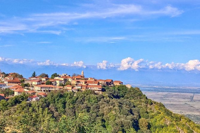 Premium & Organic Wine Tour in Kakheti - Khareba’s tunnel: Georgia’s wine industry in a dramatic setting