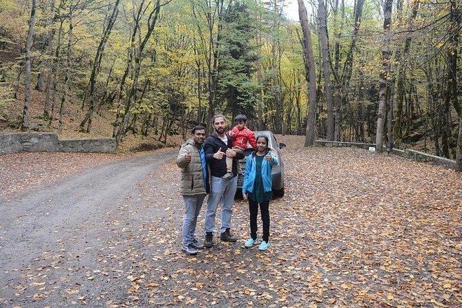 Private Car - From Tbilisi, Kutaisi, Martvili Canyons, caves - The Nazuki stop in Surami