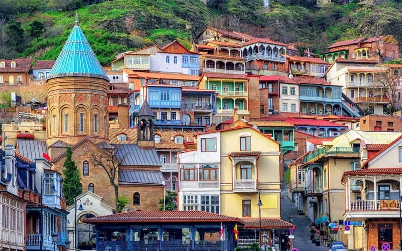 Private Day Trip from Yerevan to Tbilisi - Driver quality and the guide question