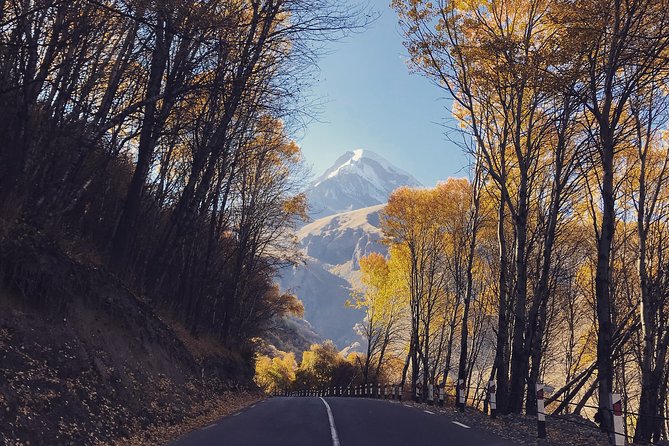 Private Day Trip to Gudauri and Kazbegi from Tbilisi via Jvari and Mtskheta - Ananuri Fortress brings the road to life