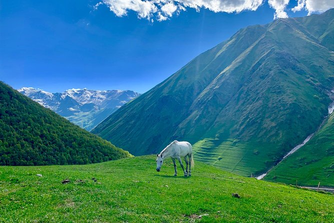 ️Private Full-Day Tour to Mtskheta and Kazbegi(stepantsminda) from Tbilisi - Jvari Monastery and the old capital below