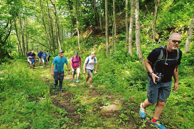 Private Hiking Tour to Machakhela National Park from Batumi - Starting at the Machakhela visitor center