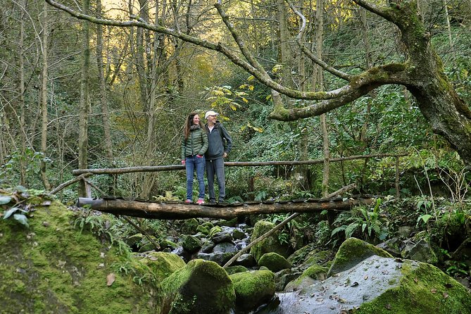 Private Hiking Tour to Mtirala National Park from Batumi - Why Mtirala works as a half-day trip from Batumi