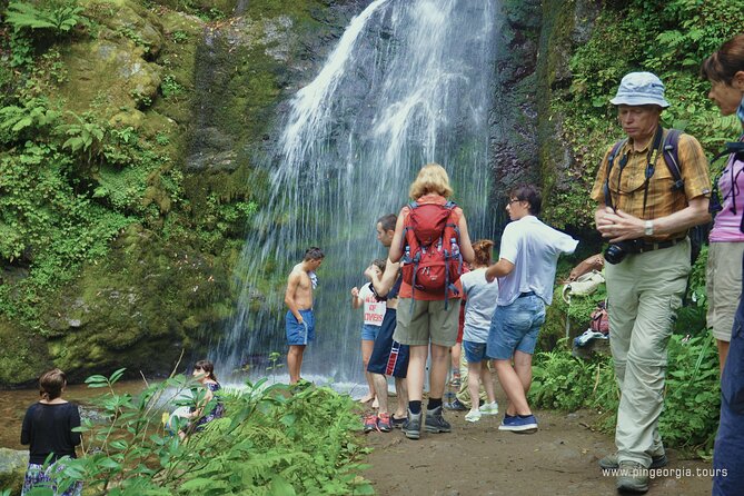 Private Hiking Tour to Mtirala National Park from Batumi - What the private guide adds