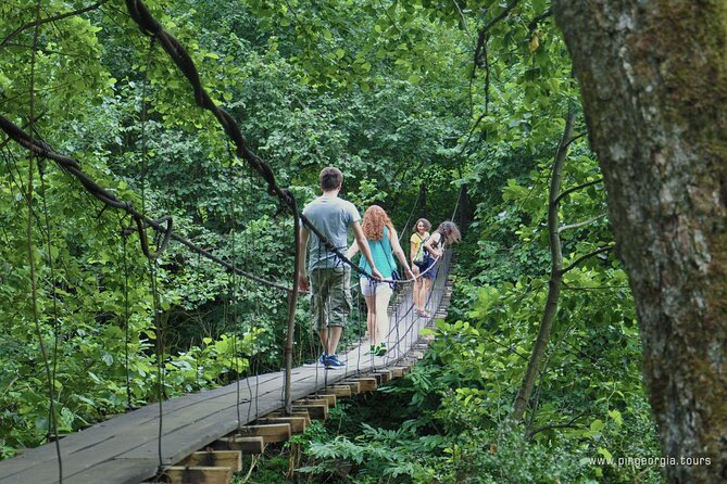 Private Hiking Tour to Mtirala National Park from Batumi - Timing, weather, and cancellation details