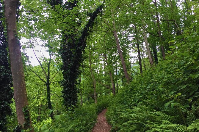 Private Hiking Tour to Mtirala National Park from Batumi - Walking the 6-kilometer Chestnut Trail
