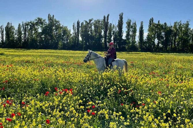Private Horse Ridding tour - Practical Planning for Kakheti Highway