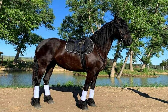 Private Horse Ridding tour - Why the Lilo Mall Location Matters