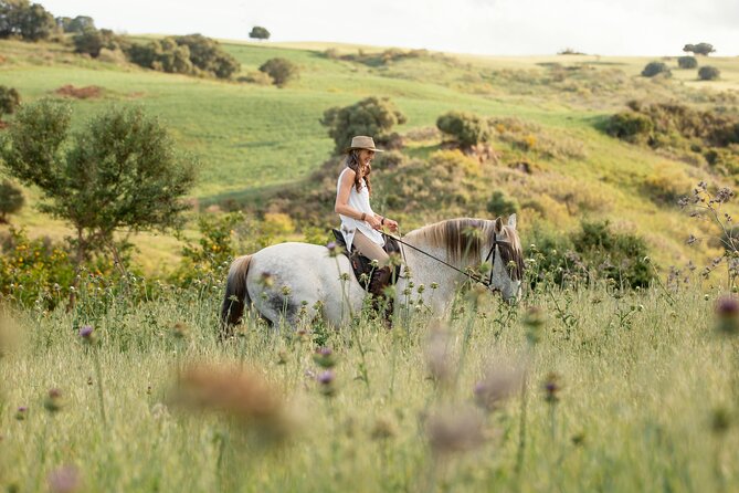 Private Horse Riding Adventure in Tbilisi - Leaving Tbilisi for a short ride in the countryside
