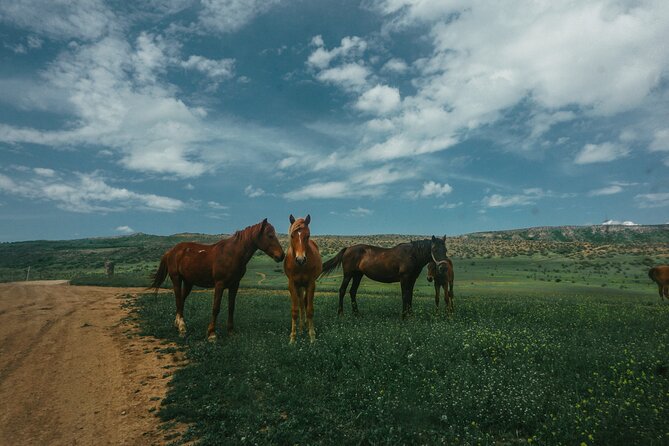 Private Horse Riding Adventure in Tbilisi - Meeting point, timing, and weather advice