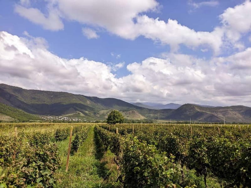 Private tour from KUTAISI: Tskhrajvari, Racha and Winery - A quiet break at Shaori Lake
