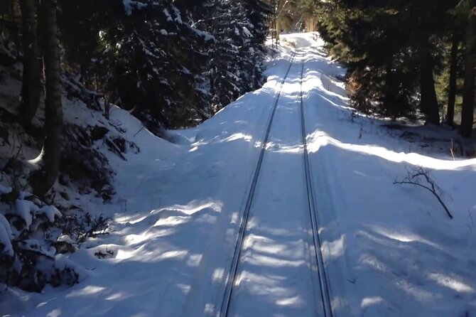 Private Tour to Bakuriani Ski Resort and the Legendary Borjomi - Four hours in Bakuriani’s pine forests