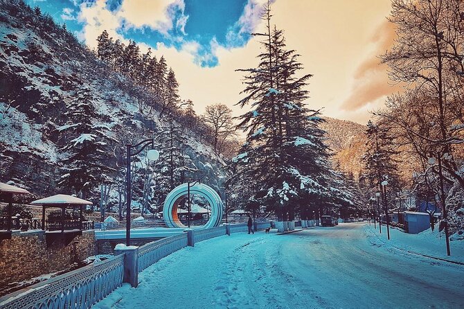 Private Tour to Bakuriani Ski Resort and the Legendary Borjomi - What the $105 price really includes