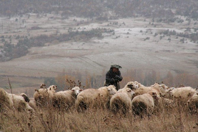 Private Tour to Kazbegi from Tbilisi - Key things to know before booking