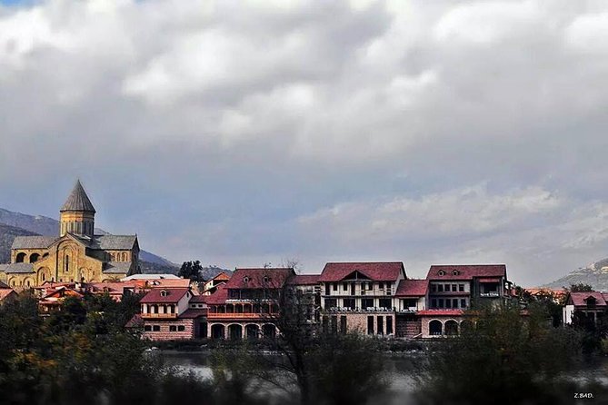 Private Tour to Mtskheta and Georgian Wine Tasting from Tbilisi - What the $188 price really buys