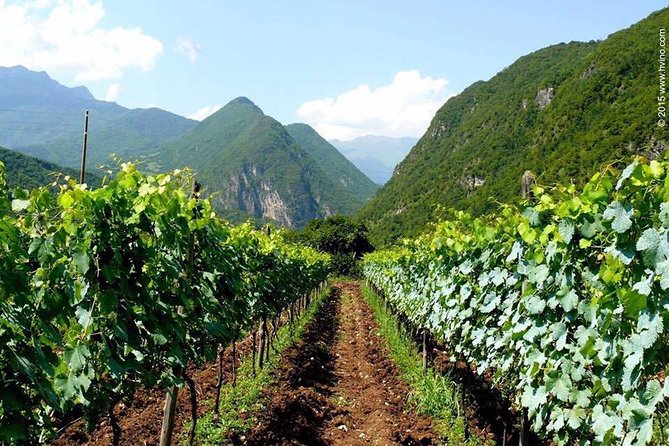 Private Tour to Mtskheta and Georgian Wine Tasting from Tbilisi - Timing, comfort, and who should book