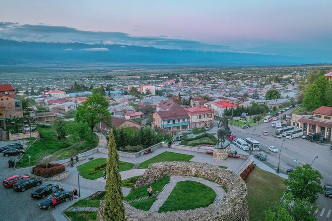 Private Wine Tour in Kakheti with Wine Tastings - Telavi, Kakheti’s regional capital