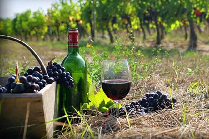 Private Wine Tour to Kakheti from Tbilisi - The Gombori Pass turns the drive into part of the tour