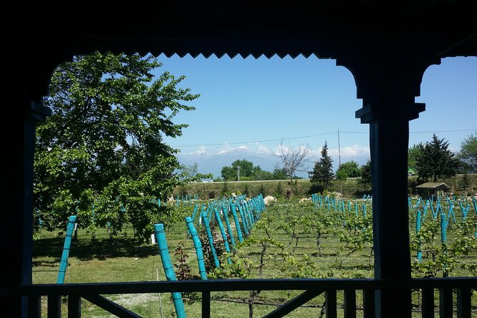 Private Wine Tour to Kakheti from Tbilisi - Tsinandali Palace connects wine with Georgian aristocracy