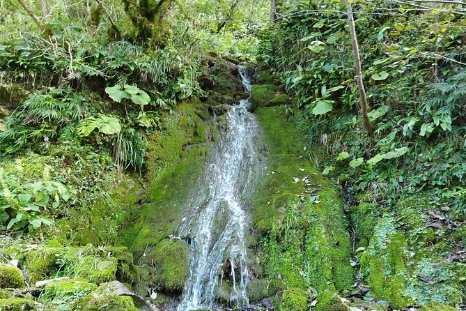 Prometheus cave, Martvili canyon - Who will enjoy this tour most?