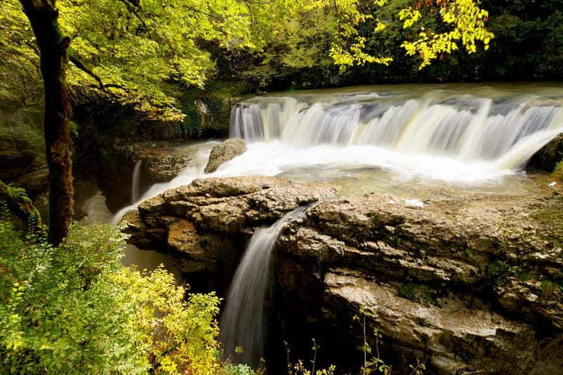 Prometheus Cave, Martvili & Okatse Canyon from Kutaisi - Who should book this Kutaisi tour?