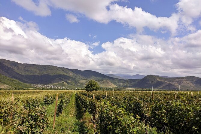 RACHA region with TSKHRAJVARI and wine tasting from Kutaisi - Who should book this Racha excursion