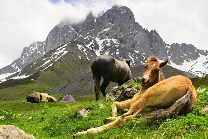 Round Trip Bus Transfer to Juta from Kazbegi - What to bring for Juta
