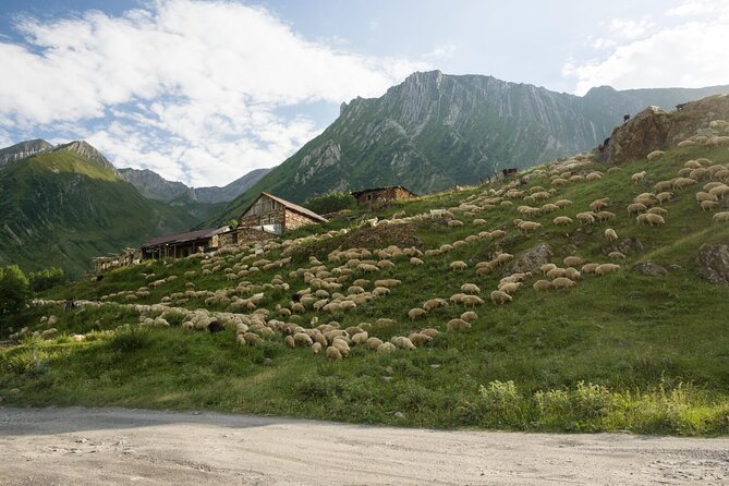 Round-Trip Bus Transfer to Truso Valley from Kazbegi - Walking through Kasari Canyon