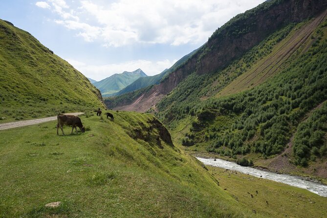 Round-Trip Bus Transfer to Truso Valley from Kazbegi - Ketrisi and the two monasteries