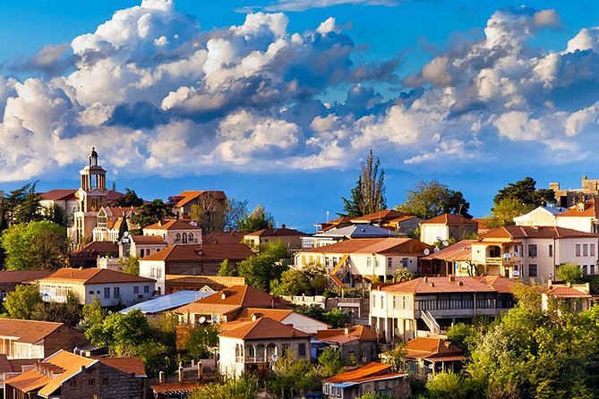 Sighnaghi city of love Private tour with Wine tasting - What the Feedback Tells You About the Guide Service