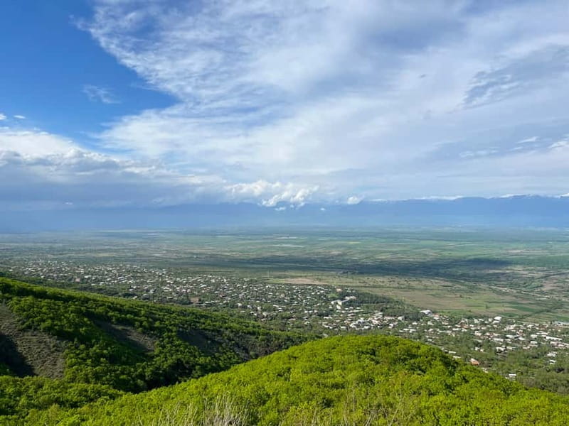 Sighnaghi Day Trip with wine tasting and Bodbe Monastery - At a Glance: What Makes This Day Trip Worth Considering